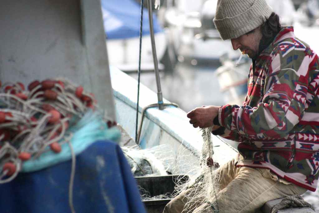 【2023年度】漁業事業者が活用できる補助金・助成金5つ｜採択事例もあわせて紹介